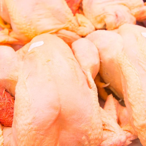 Pollo de caserío