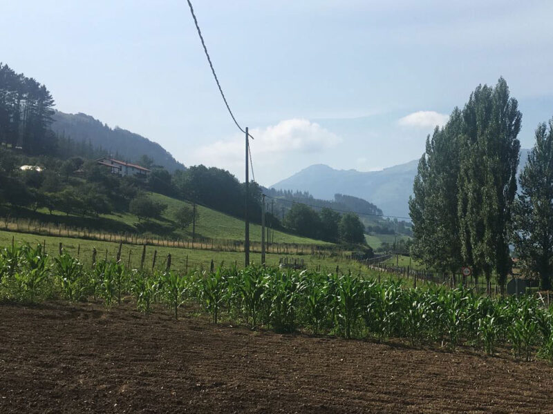 Ganadería de productores y caseríos de Gipuzkoa