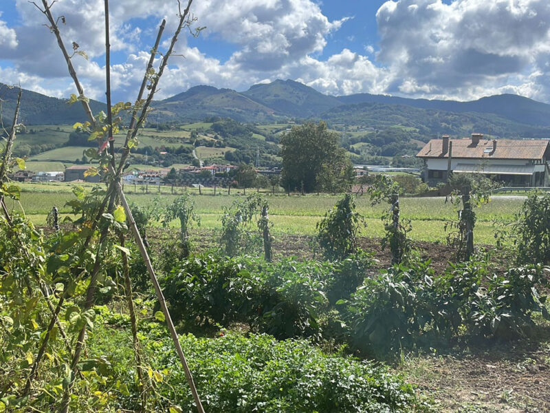 Ganadería de productores y caseríos de Gipuzkoa