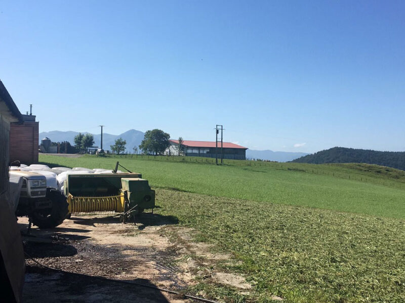 Ganadería de productores y caseríos de Gipuzkoa